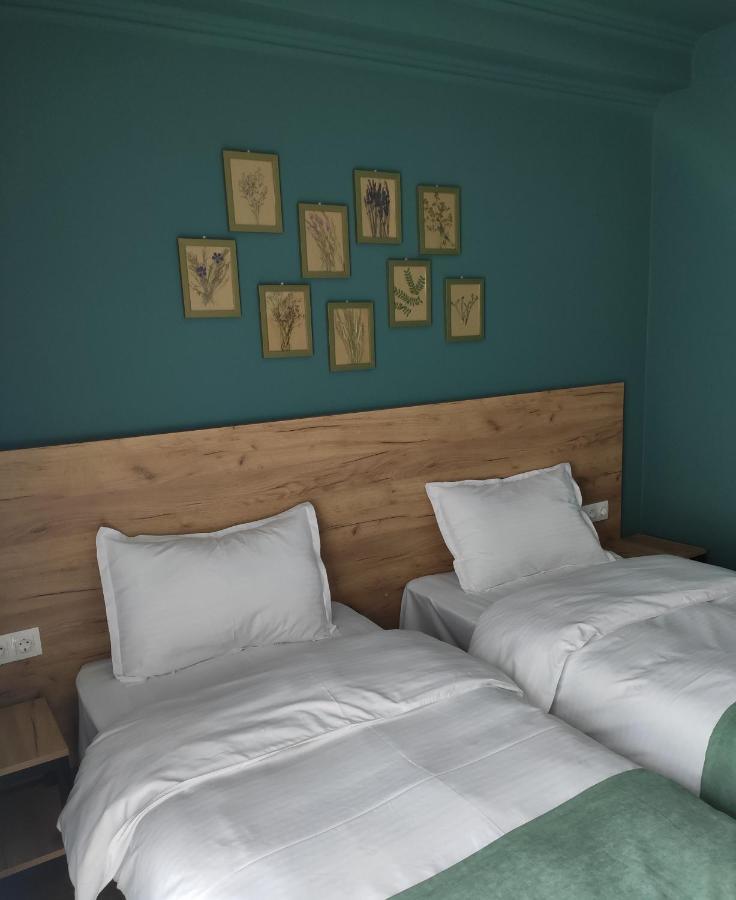 Northgate Hotel Kazbegi 외부 사진